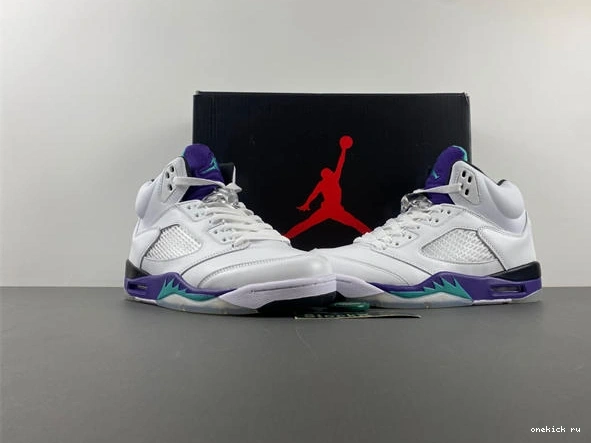Rep Onekick 5 Sleek 3989 Air 136027- Retro Jordan Grape 1028